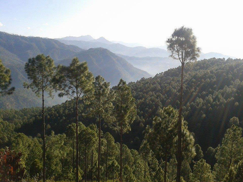 Shivalik Hills Of Nepal