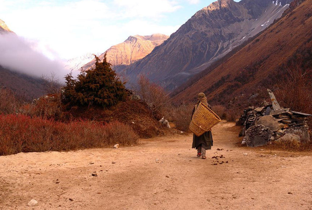 Everything You Kneed To Know About Manaslu Circuit Trek