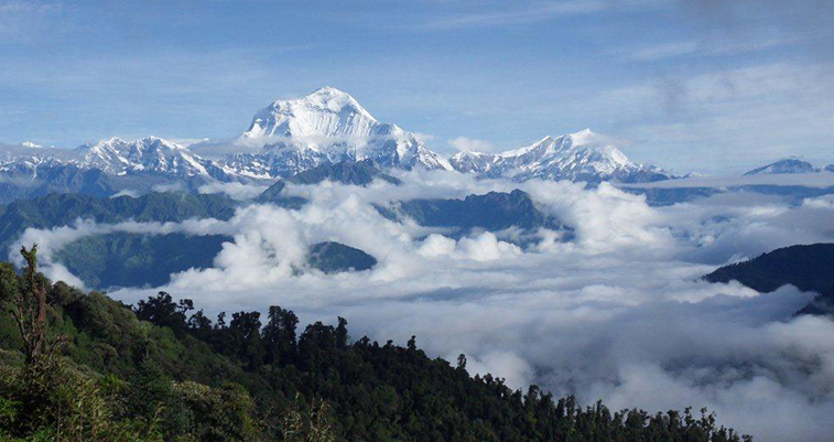 Himchuli Mountain Of Nepal