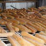 Rows of firm chhurpi dairy products arranged on racks.
