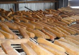 Rows of firm chhurpi dairy products arranged on racks.