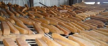 Rows of firm chhurpi dairy products arranged on racks.