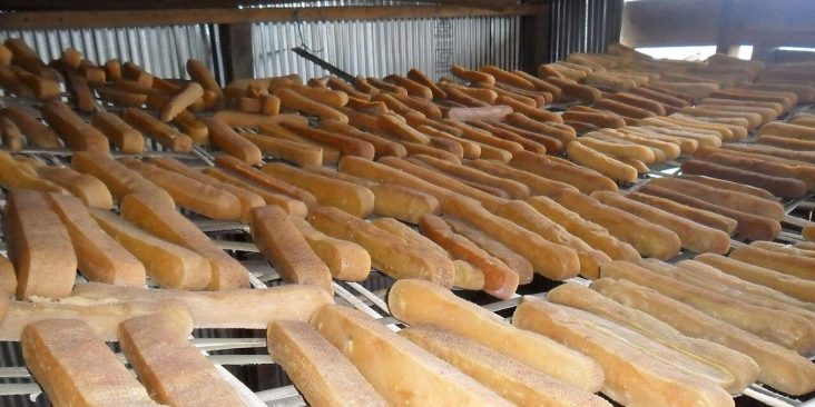 Rows of firm chhurpi dairy products arranged on racks.