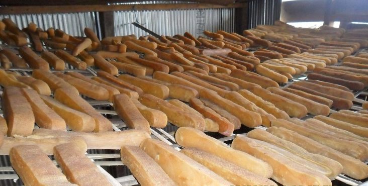 Rows of firm chhurpi dairy products arranged on racks.