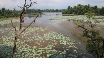 Ghodaghodi Lake with aquatic vegetation and forest along the shore.