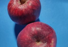 Two red Jumla apples on a blue surface.