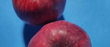 Two red Jumla apples on a blue surface.