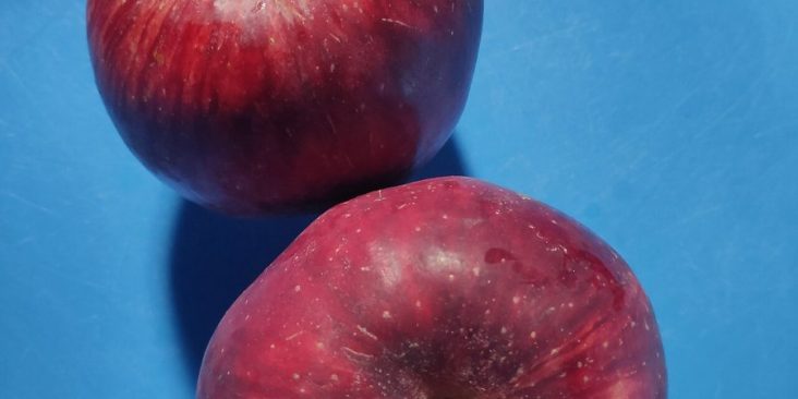 Two red Jumla apples on a blue surface.