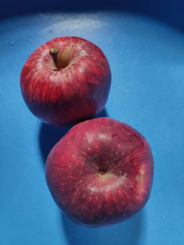 Two red Jumla apples on a blue surface.