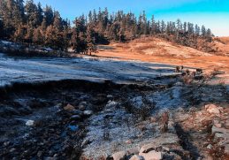 Open meadow and forest in Khaptad National Park.