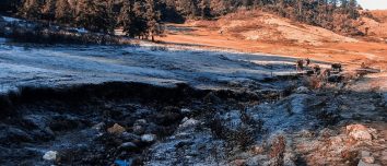 Open meadow and forest in Khaptad National Park.