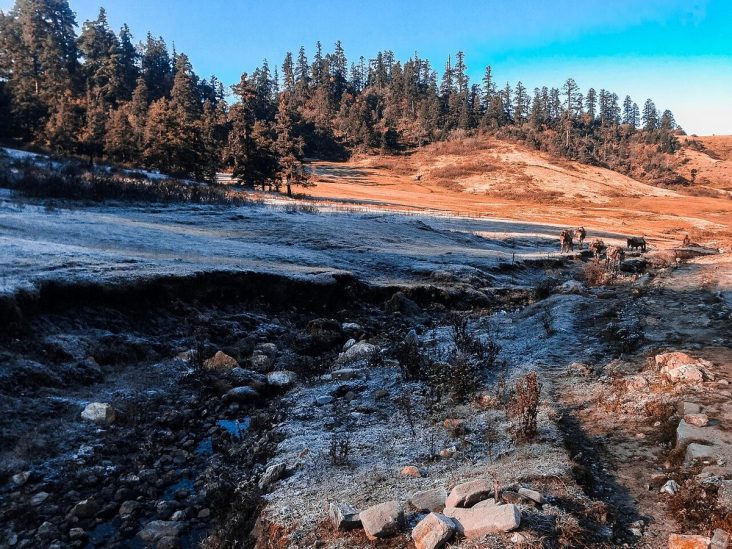 Open meadow and forest in Khaptad National Park.
