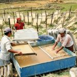 Lokta papermaking in Kathmandu in 2005.
