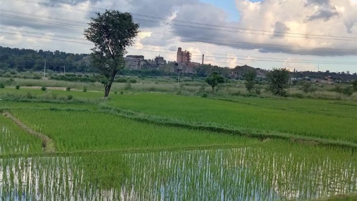 Hetauda Cement Factory beyond green paddy fields.