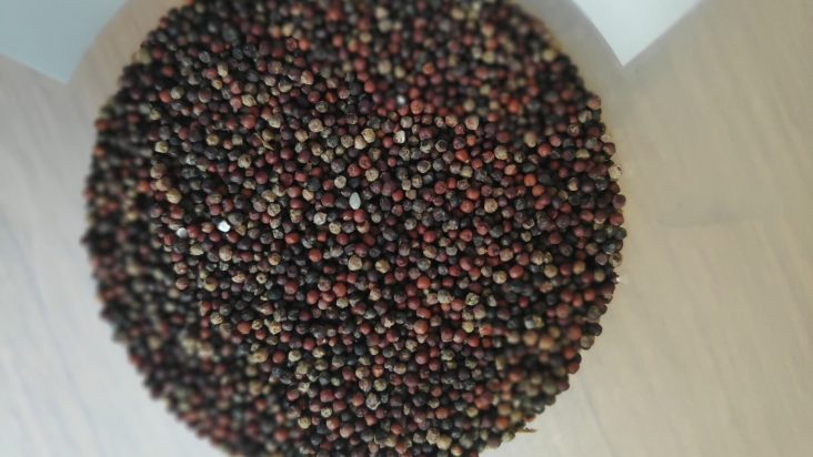 Finger millet photographed in Nepal in 2019.