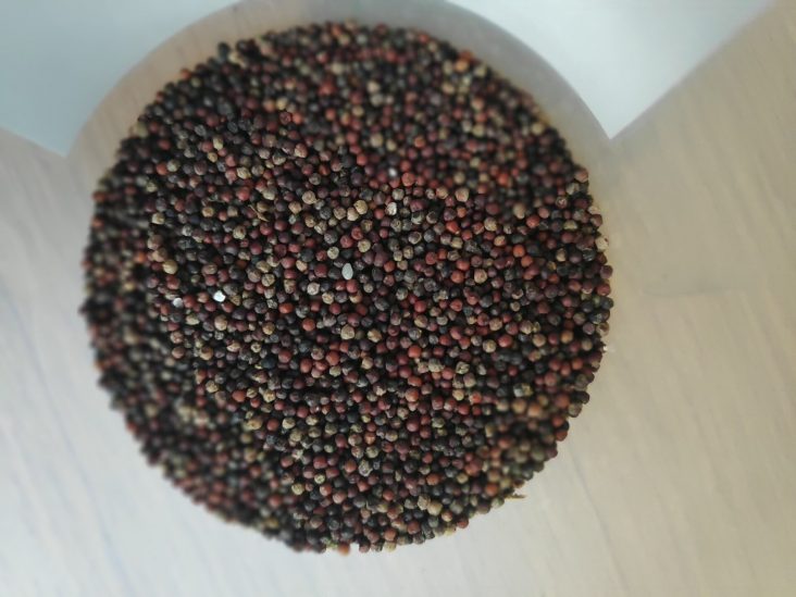 Finger millet photographed in Nepal in 2019.